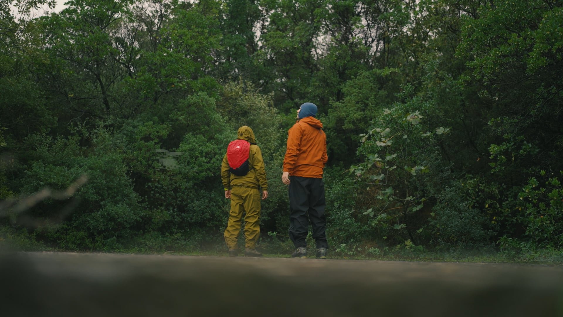Stafu Pro / Baltoro